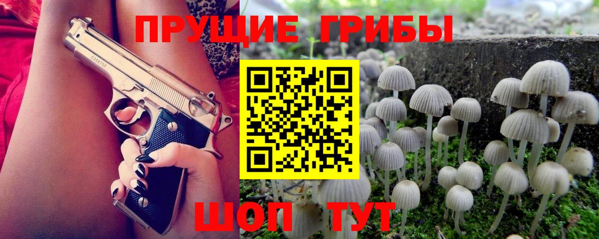 Елец  Псилоцибиновые грибы прущие грибы  Галлюциногенные грибы Psilocybe  Вход с VPN 